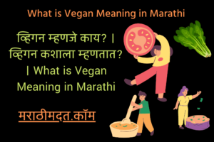 व्हिगन म्हणजे काय? । व्हिगन कशाला म्हणतात? । What is Vegan Meaning in Marathi