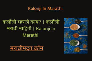 Kalonji In Marathi । कलौंजी म्हणजे काय? । कलौंजी मराठी माहिती