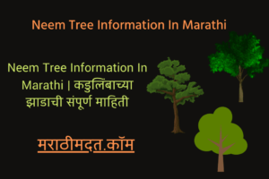 Neem Tree Information In Marathi |  कडुलिंबाच्या झाडाची संपूर्ण माहिती