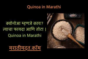 क्वोनोआ म्हणजे काय? त्याचा फायदा आणि तोटा । Quinoa in Marathi