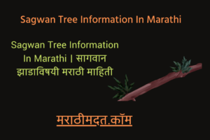 Sagwan Tree Information In Marathi । सागवान झाडाविषयी मराठी माहिती