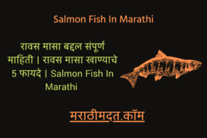 रावस मासा बद्दल संपूर्ण माहिती । रावस मासा खाण्याचे 5 फायदे । Salmon Fish In Marathi 