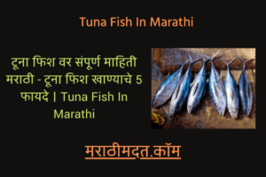 टूना फिश वर संपूर्ण माहिती मराठी - टूना फिश खाण्याचे 5 फायदे । Tuna Fish In Marathi