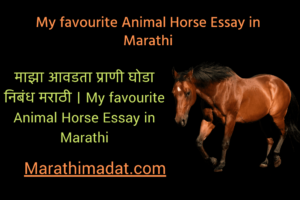 माझा आवडता प्राणी घोडा निबंध मराठी । My favourite Animal Horse Essay in Marathi